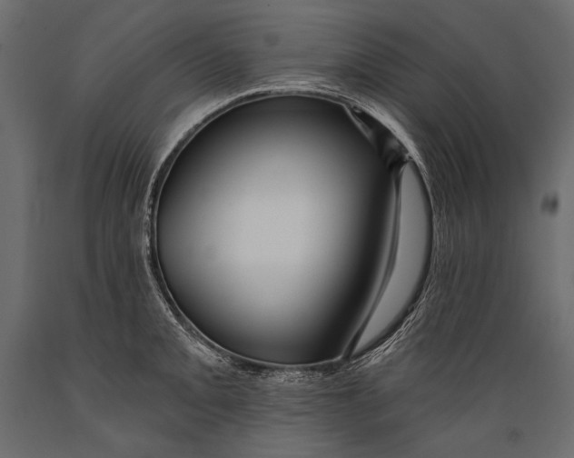 X0000088851093200706291449