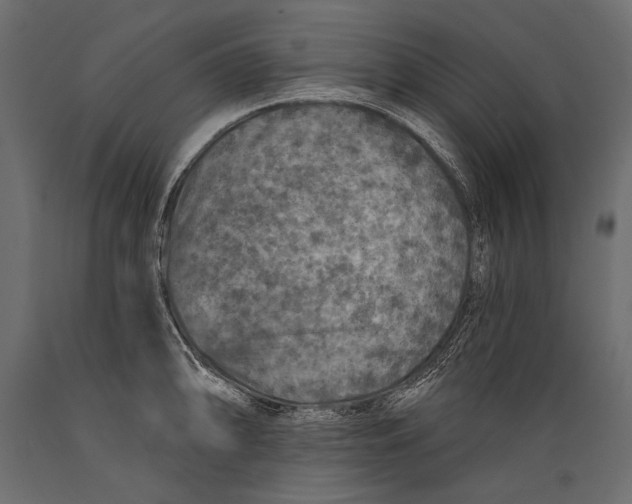 X0000088851094200706291449