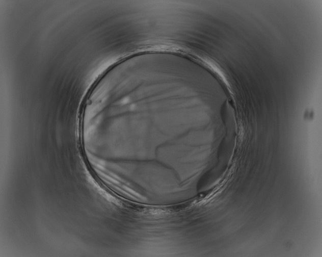 X0000088851095200706291449