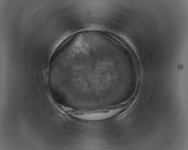 X0000088851097200706291449