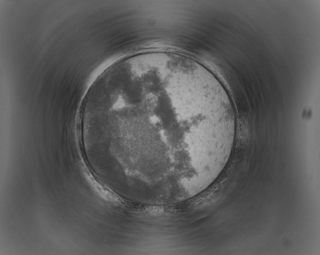 X0000088851098200706291449