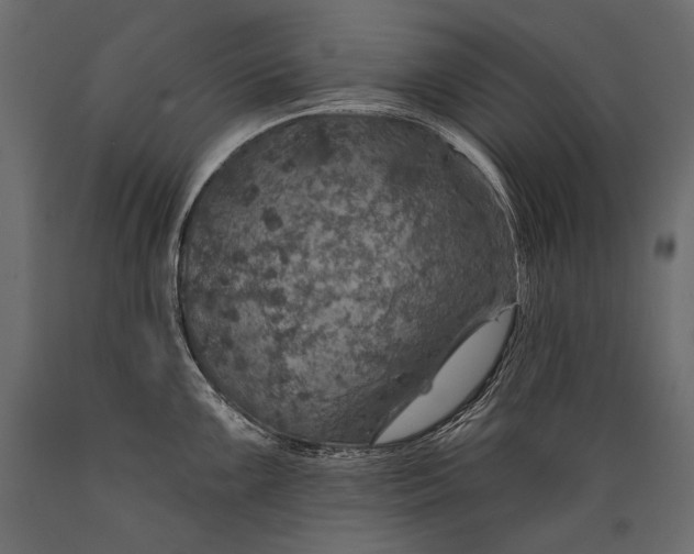 X0000088851099200706291449