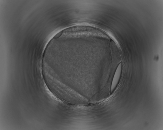 X0000088851100200706291449