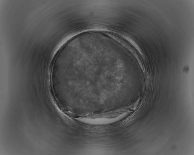 X0000088851101200706291449