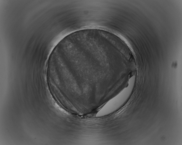 X0000088851102200706291449