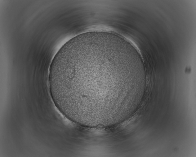 X0000088851103200706291449