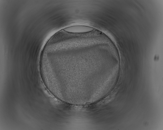 X0000088851104200706291449