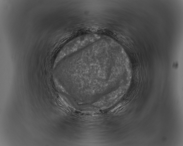 X0000088851105200706291448