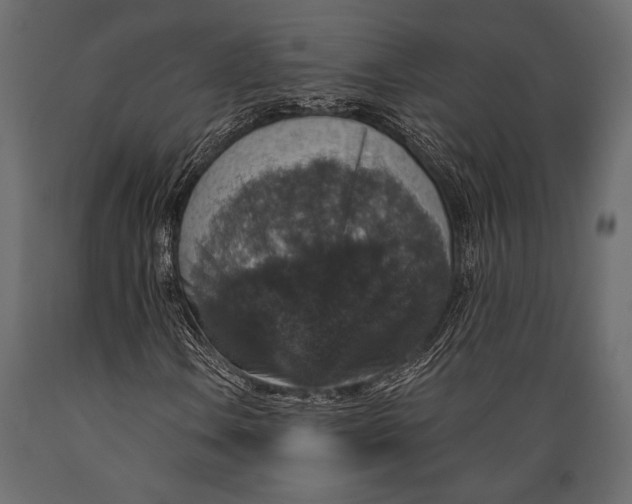 X0000088851106200706291448