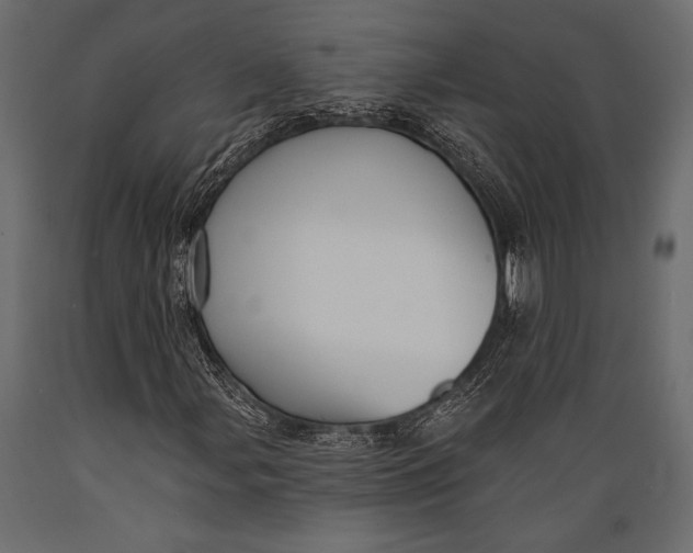 X0000088851107200706291449