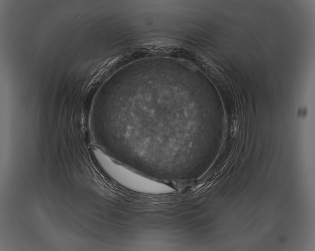 X0000088851108200706291449