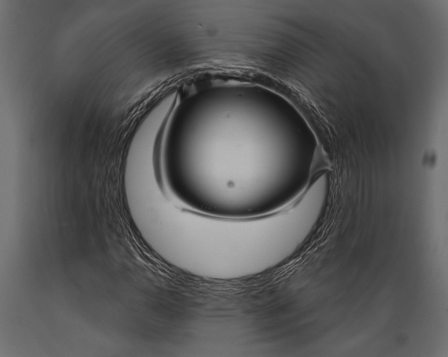 X0000088851110200706291449