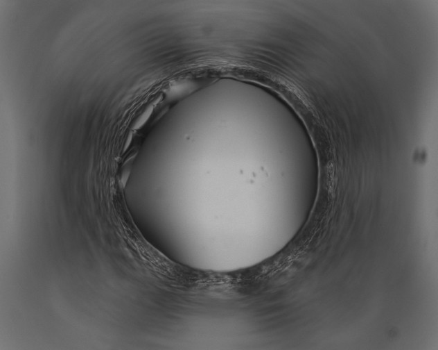 X0000088851111200706291449