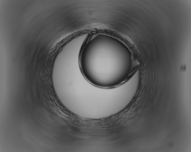 X0000088851112200706291449