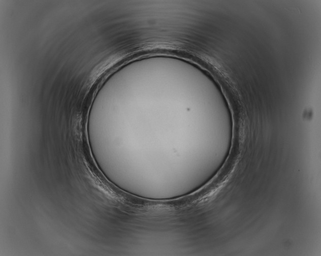 X0000088851113200706291449