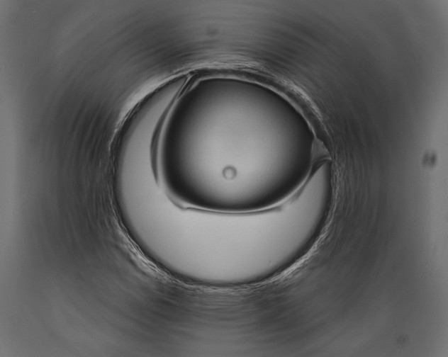 X0000088851114200706291449