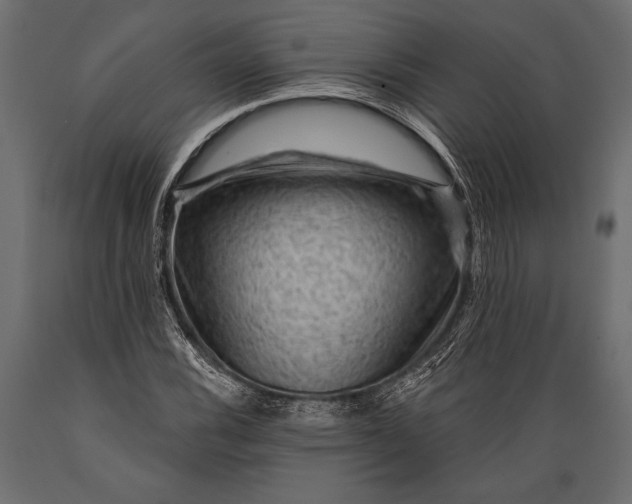 X0000088851116200706291449