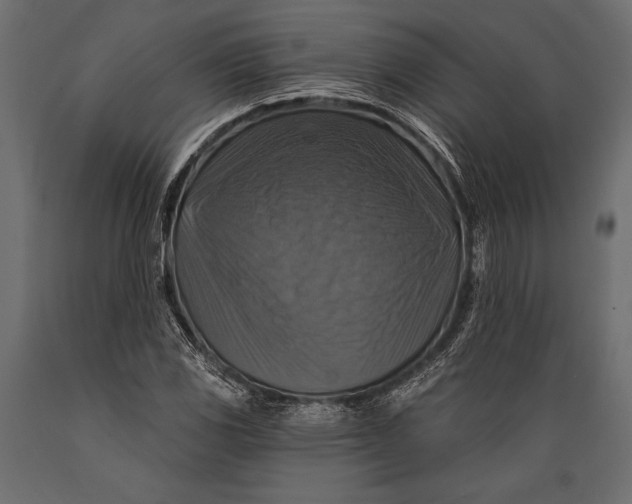 X0000088851117200706291449