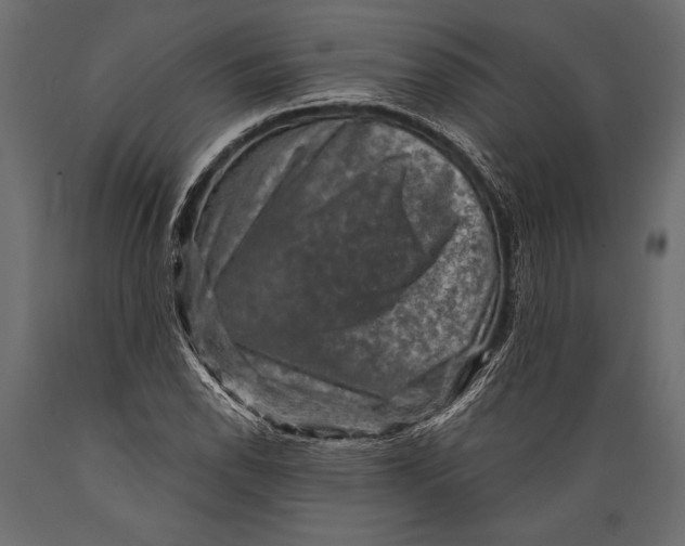 X0000088851118200706291449