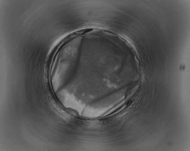 X0000088851120200706291449