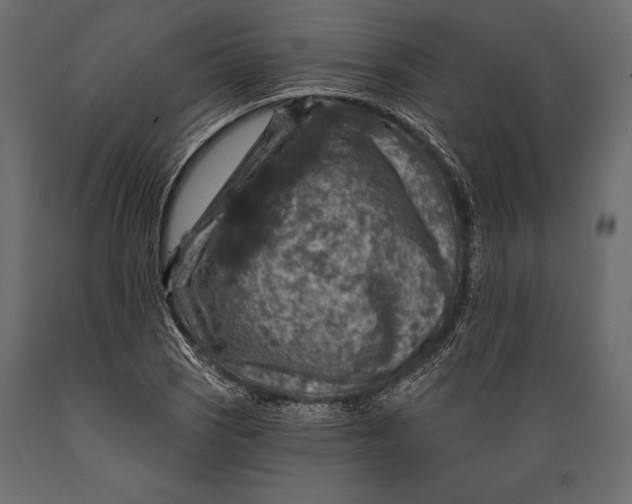 X0000088851121200706291449