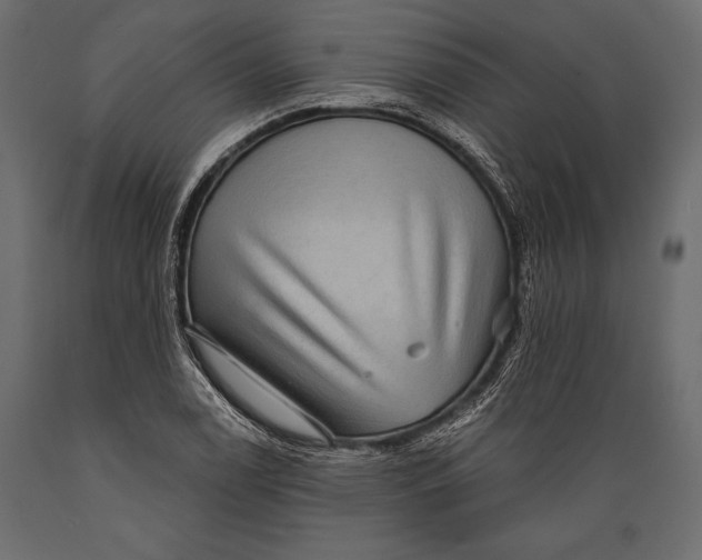 X0000088851122200706291449