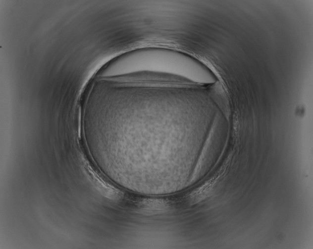 X0000088851123200706291449