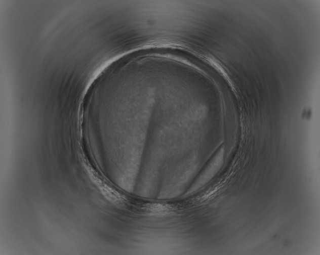 X0000088851124200706291449