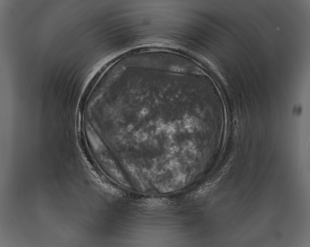 X0000088851125200706291449