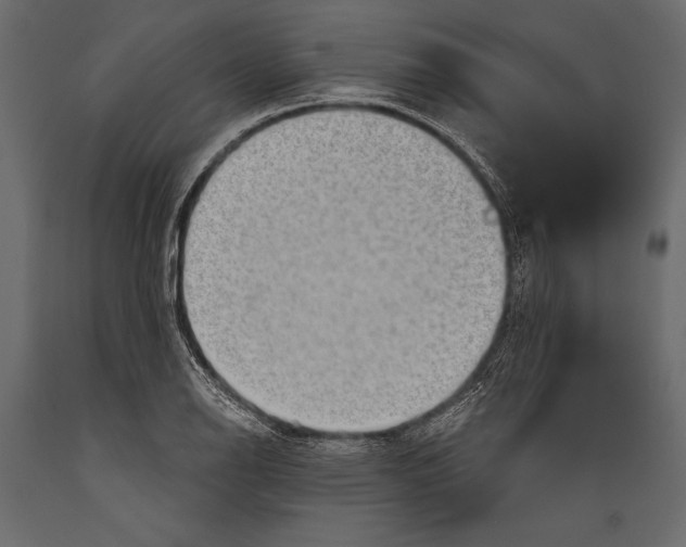 X0000088851126200706291449