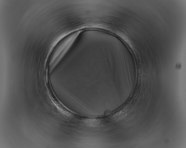 X0000088851127200706291449