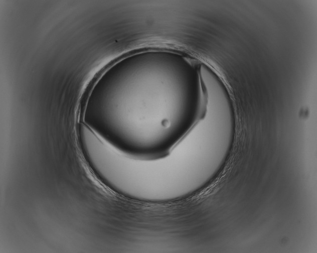 X0000088851128200706291449