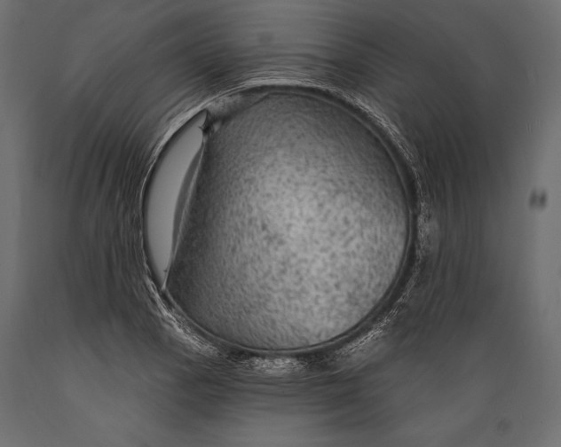 X0000088851129200706291449