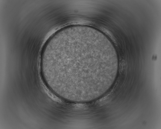 X0000088851130200706291449