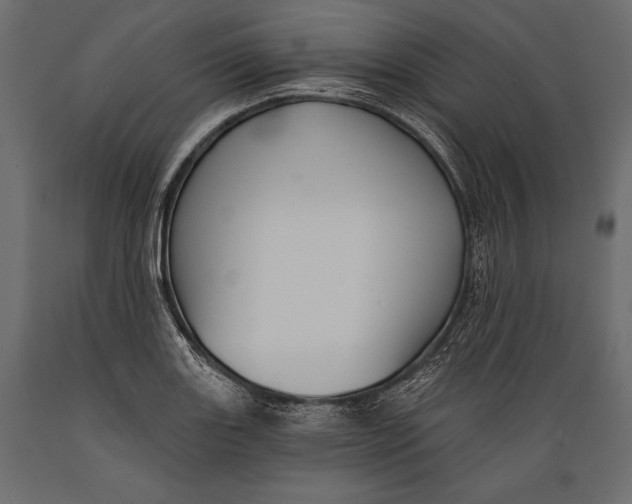 X0000088851131200706291449