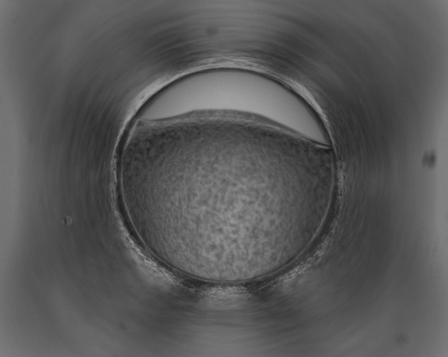 X0000088851133200706291449