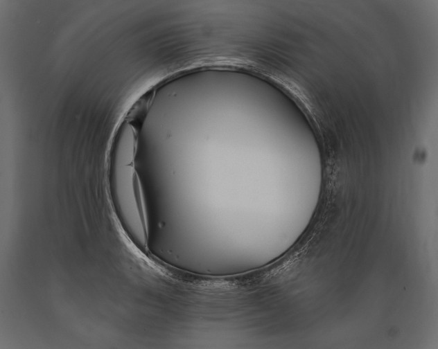 X0000088851135200706291449