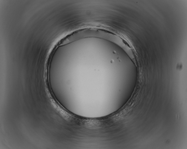 X0000088851136200706291449