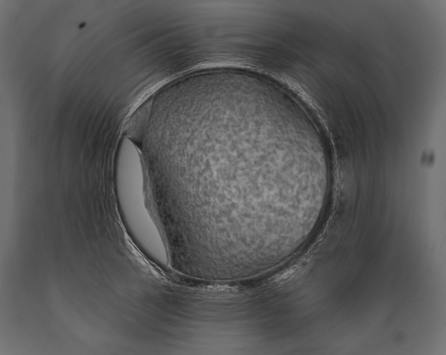 X0000088851137200706291449