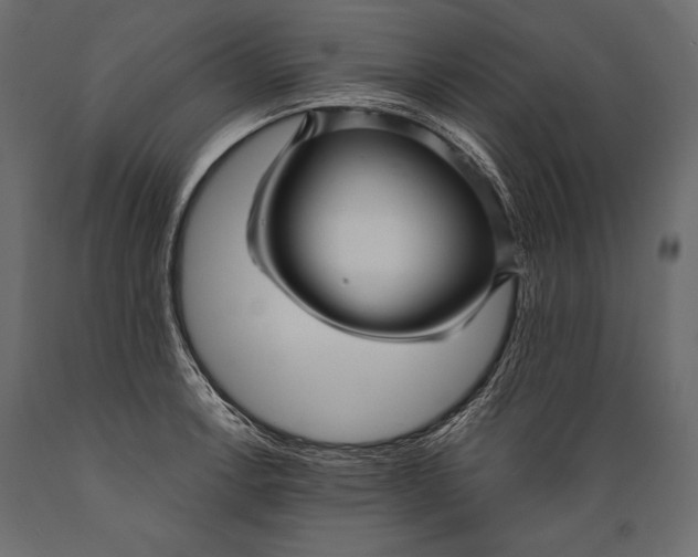 X0000088851138200706291449