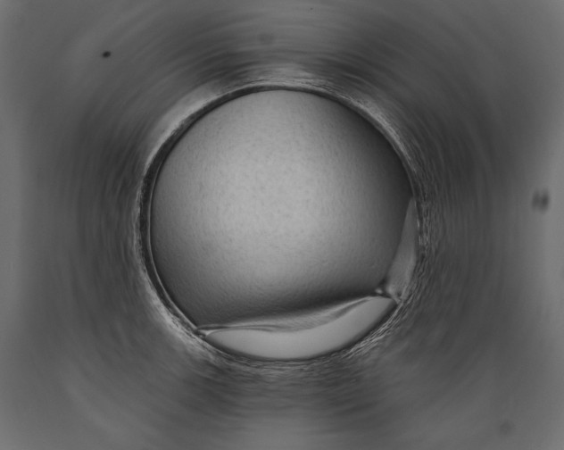 X0000088851139200706291449