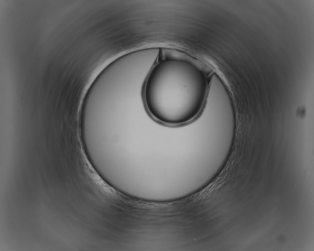 X0000088851140200706291449