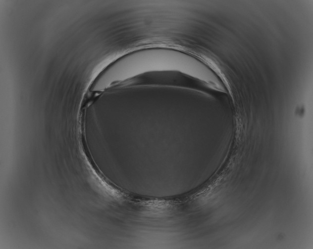 X0000088851141200706291449