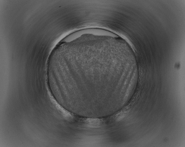 X0000088851142200706291449