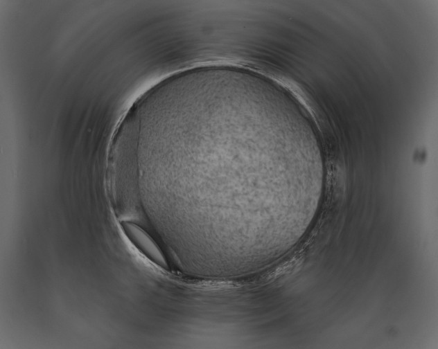 X0000088851143200706291449