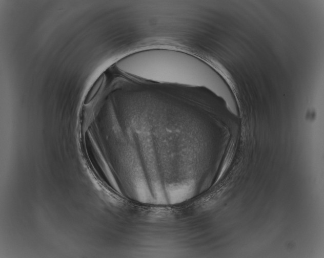 X0000088851144200706291449