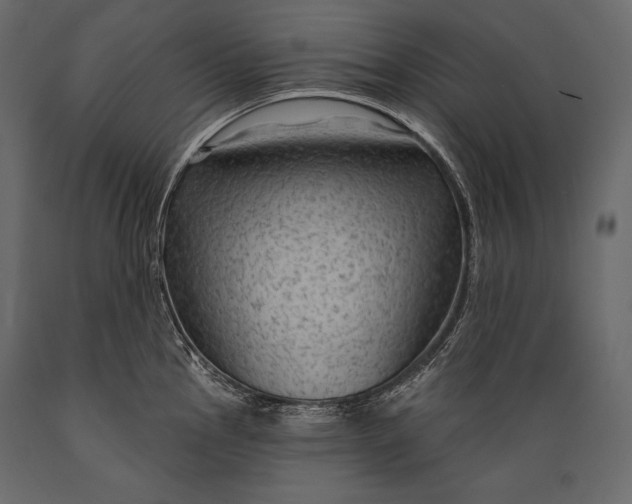 X0000088851145200706291449