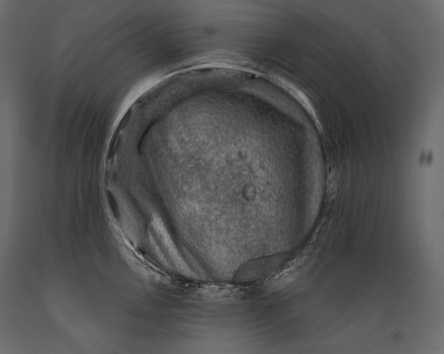 X0000088851146200706291449