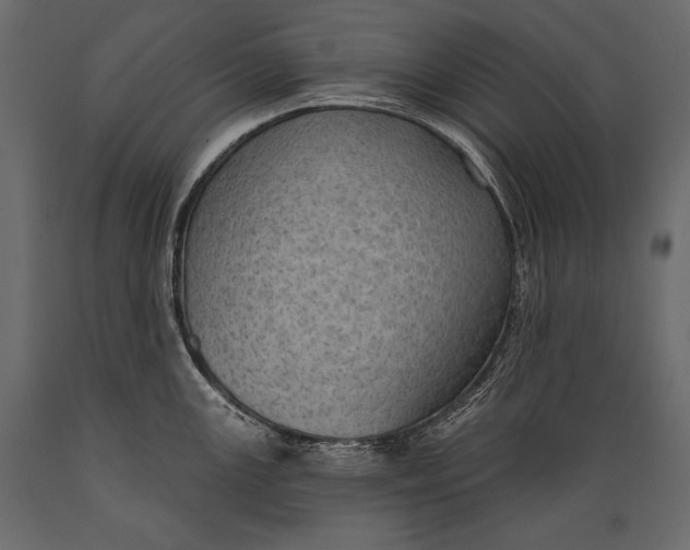 X0000088851147200706291449