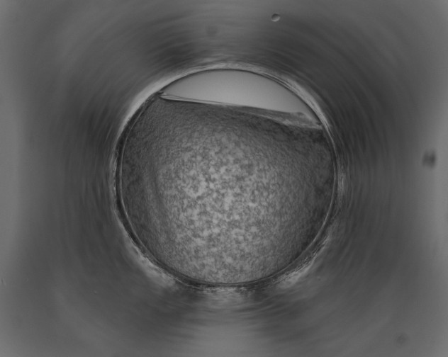 X0000088851149200706291449